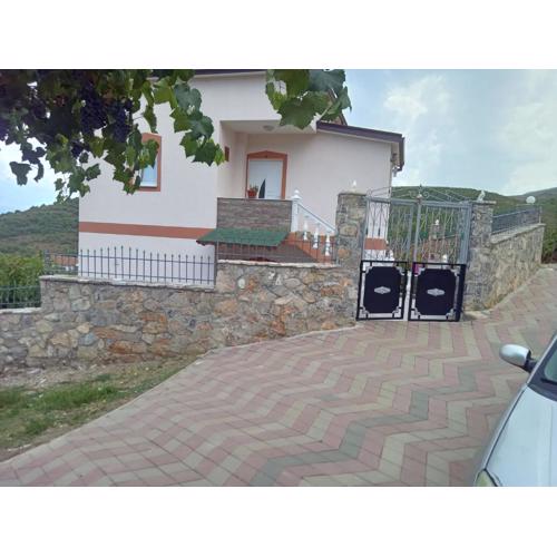 anjel home