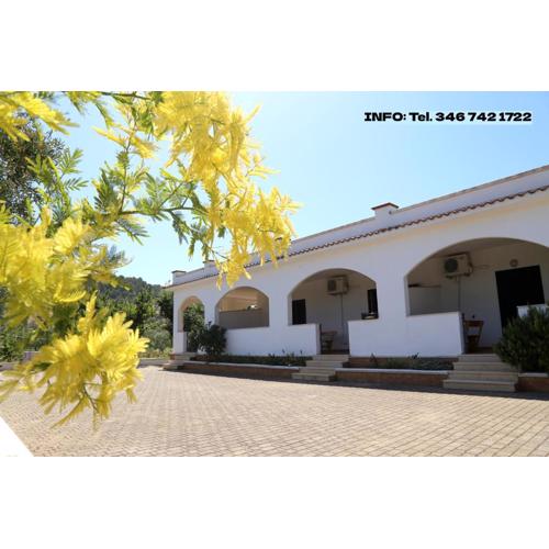 Annaluce Apartments Vieste