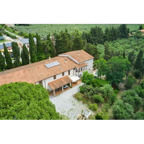 Antichi Palmenti - Alloro