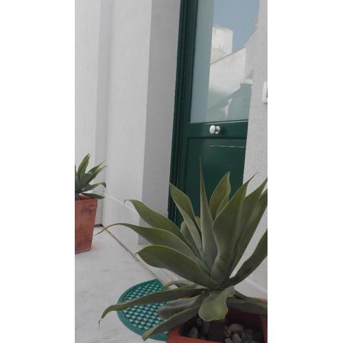 ANTICO CORTILE Favignana