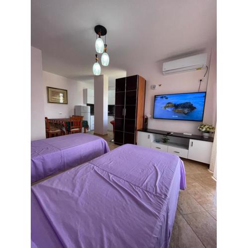 Apartament 1+1