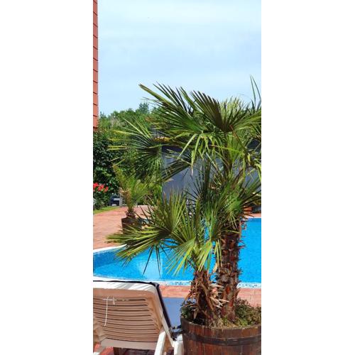 Apartament CACAO RESIDENCE