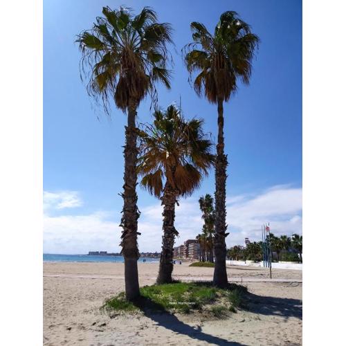 Apartament CARMEN