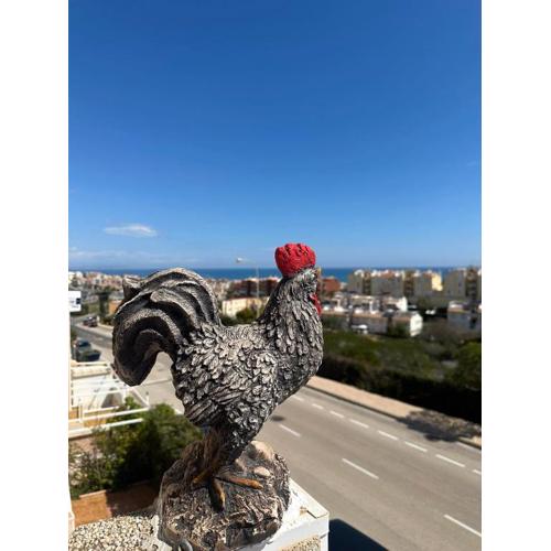 Apartament Casa del Gallo Torrevieja