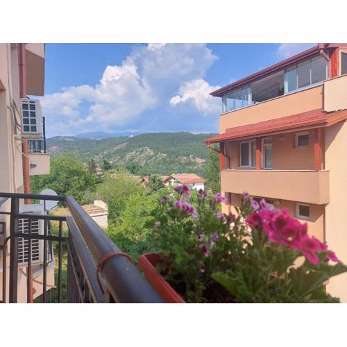Apartament Emi