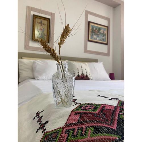 Apartament Karafili