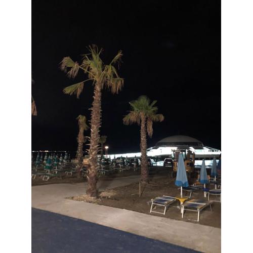 Apartament Klea in Strandnähe Toplage Durres