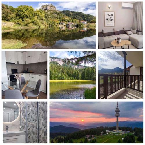 Apartament Rodopi