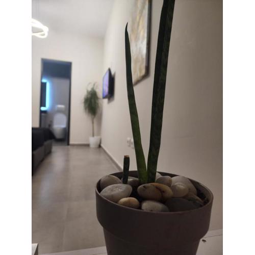 Apartament Tirana Contact