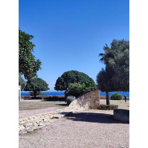 Apartament Violetta