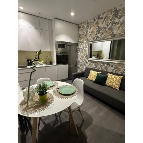 Apartamento 1 hab en La Latina - Madrid Centro