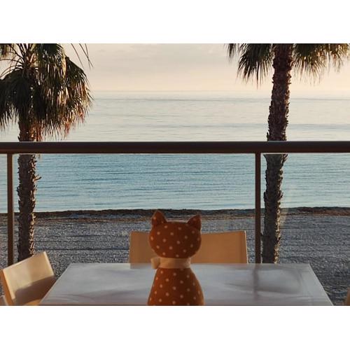 Apartamento Azul Marino