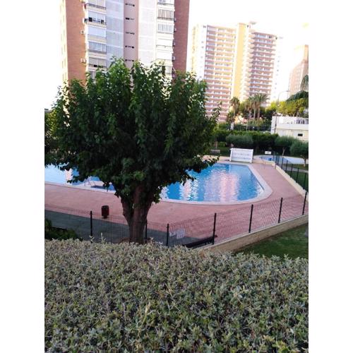 Apartamento Benidorm- Piscina y parking
