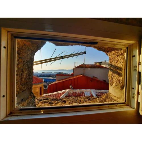 Apartamento céntrico y acogedor