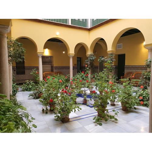 Apartamento Centro Historico solo office