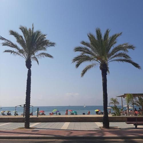 Apartamento cerca Playa Napoli II