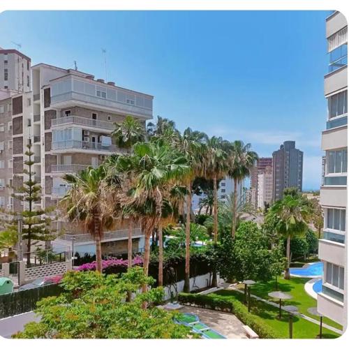 Apartamento con piscina en Benidorm
