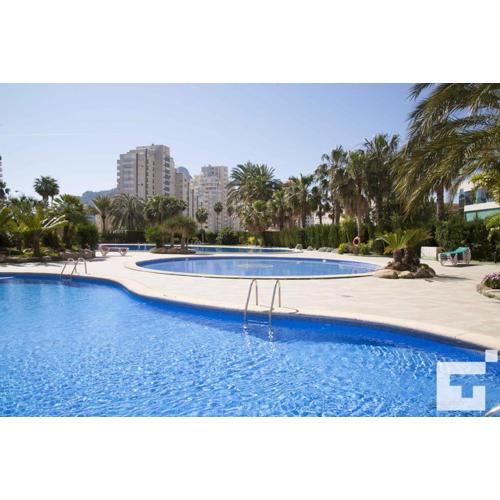 Apartamento Coralbeach 318B - Grupo Turis