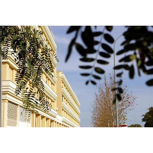 Apartamento de Lux Sevilla Este