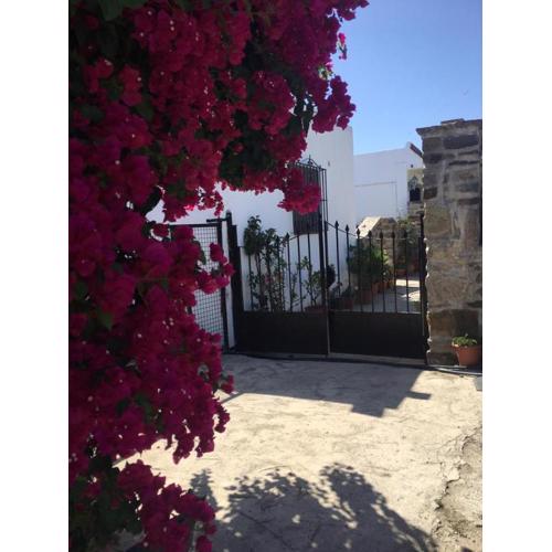 Apartamento Las adelfas