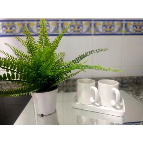 Apartamento Las Canastas Cádiz Centro