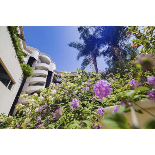 Apartamento Puerto Banus