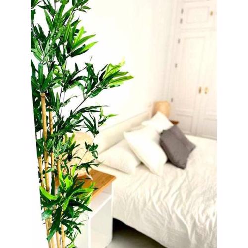 Apartamento tranquilo en barrio bohemio