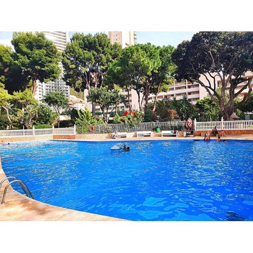 Apartamento un dormitorio en Benidorm