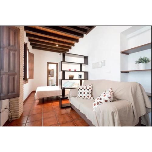 Apartamentos centro historico a los pies de la Alhambra