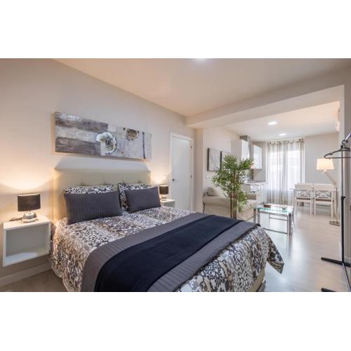 Apartamentos Centro Recogidas, Granada
