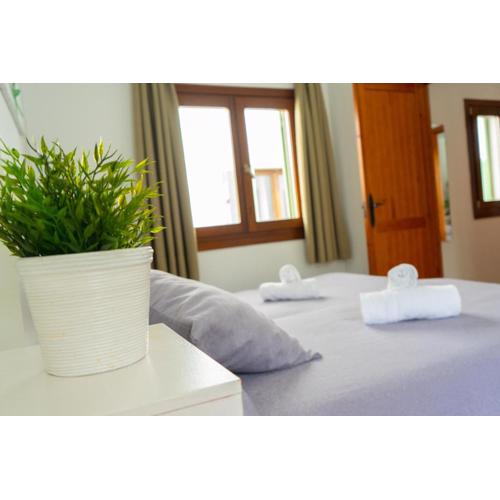 Apartamentos Gravina