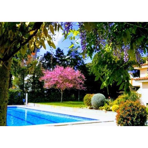 Apartamentos Stil Mar Anna - Stil Mar Anna L\