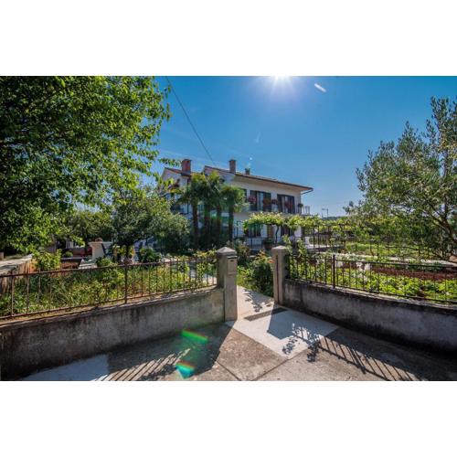 Apartman Ana