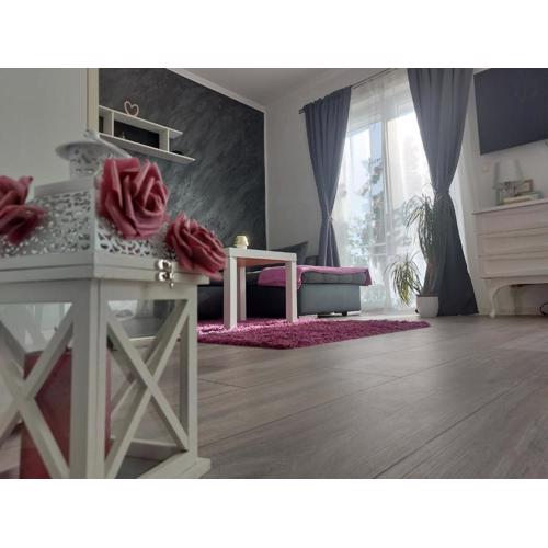 Apartman Antonić M