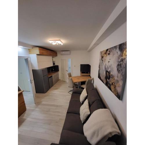 Apartman Bužanova II