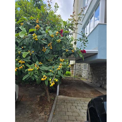 Apartman Dado with cover parking on ideal location