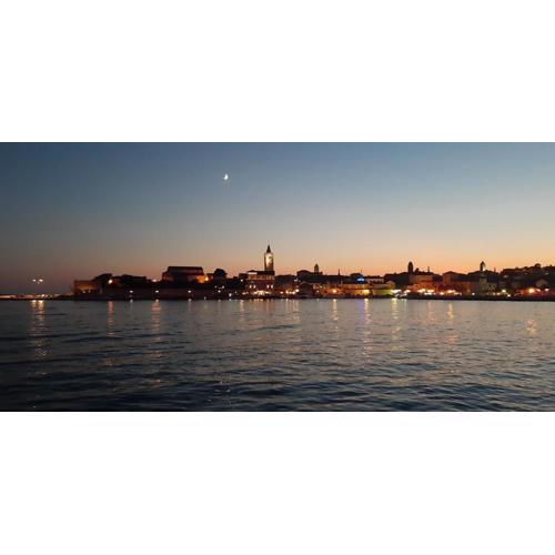 Apartman IN