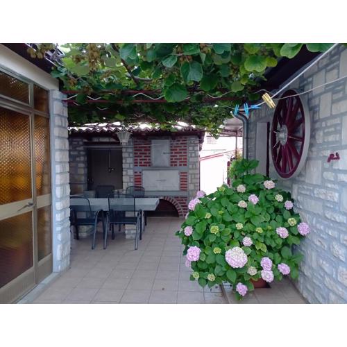 Apartman Kiwi