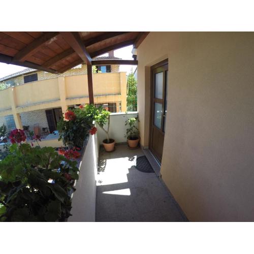 Apartman Koralj