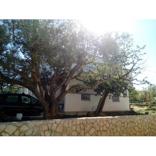 Apartman Korina