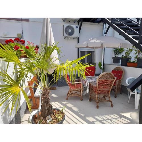 Apartman Magnolija
