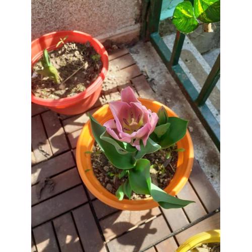 Apartman Maria