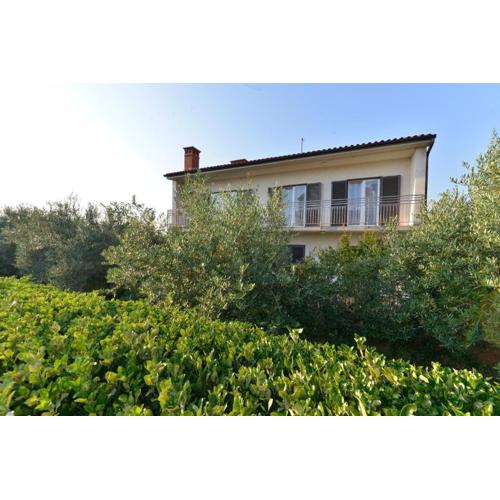 Apartman Meri Pula
