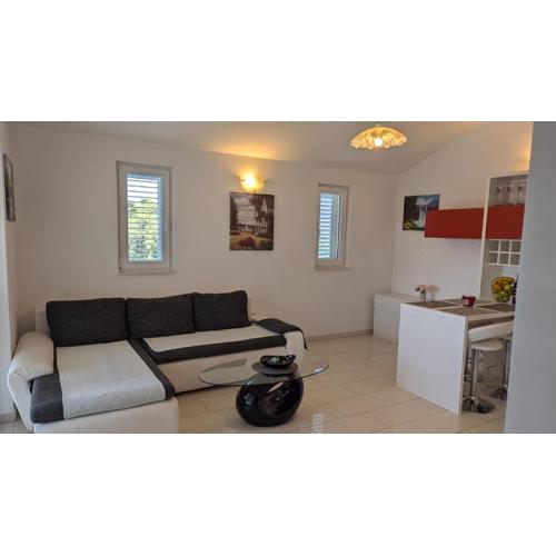 Apartman Riba