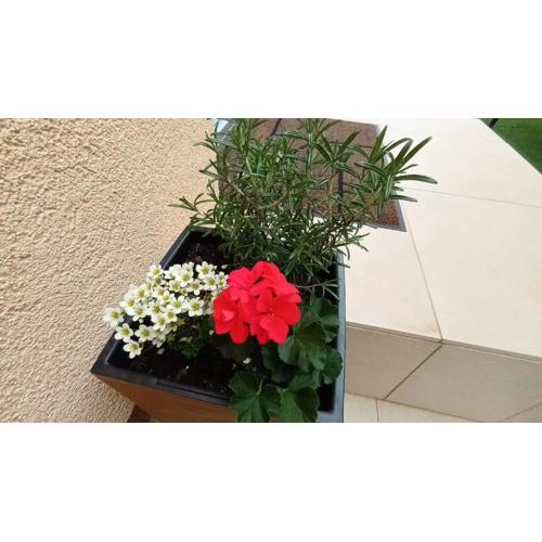 Apartman Sandra -private parking and garden