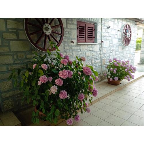 Apartman Sunce