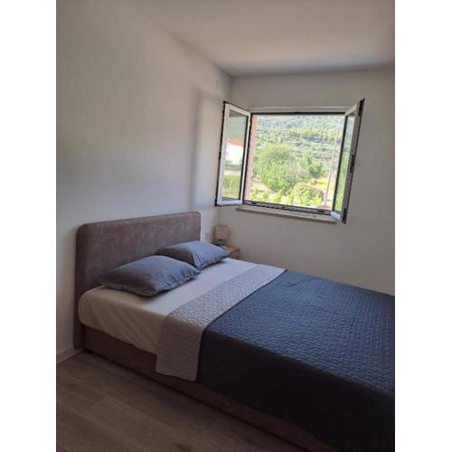 Apartman Tomo