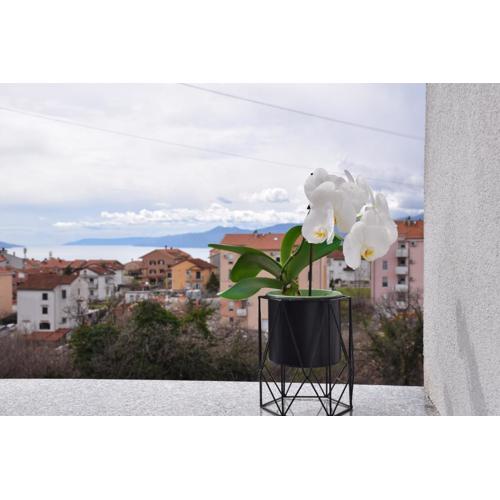 Apartman Totale