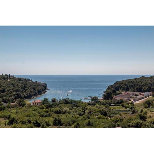 Apartman Vita