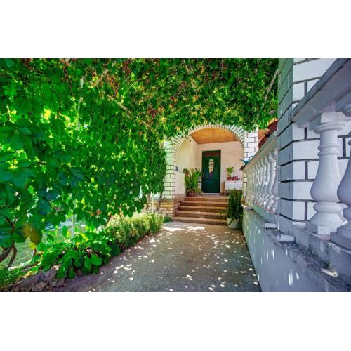 Apartmani Juricev Vodice
